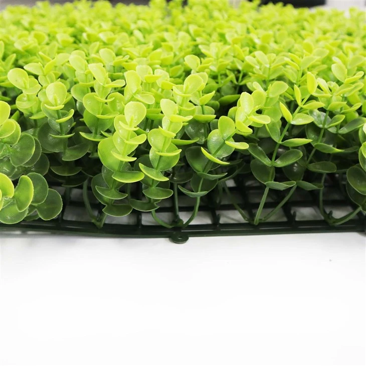 Grass Wall For Room