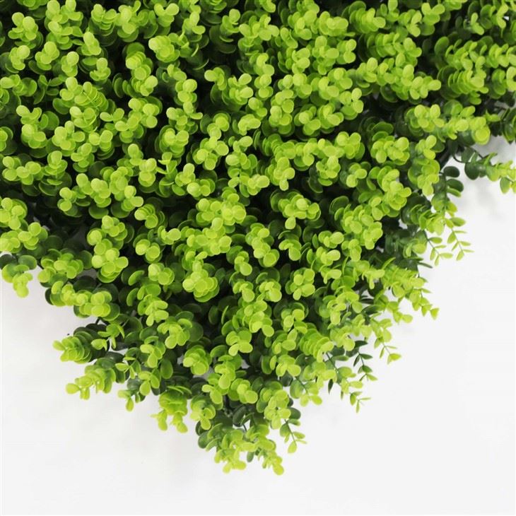 Grass Wall For Room