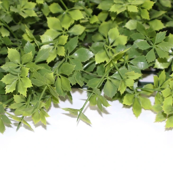 Office Plant Wall
