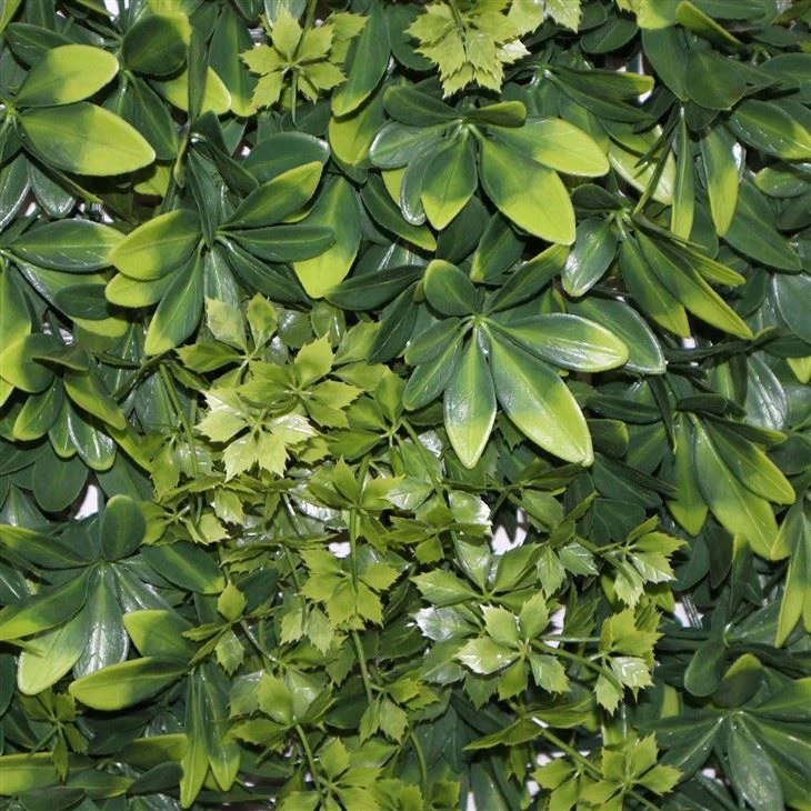 Vertical Green Wall