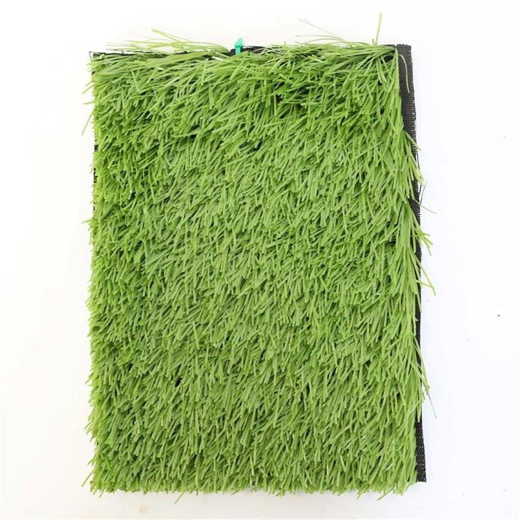Artificial Turf Soccer