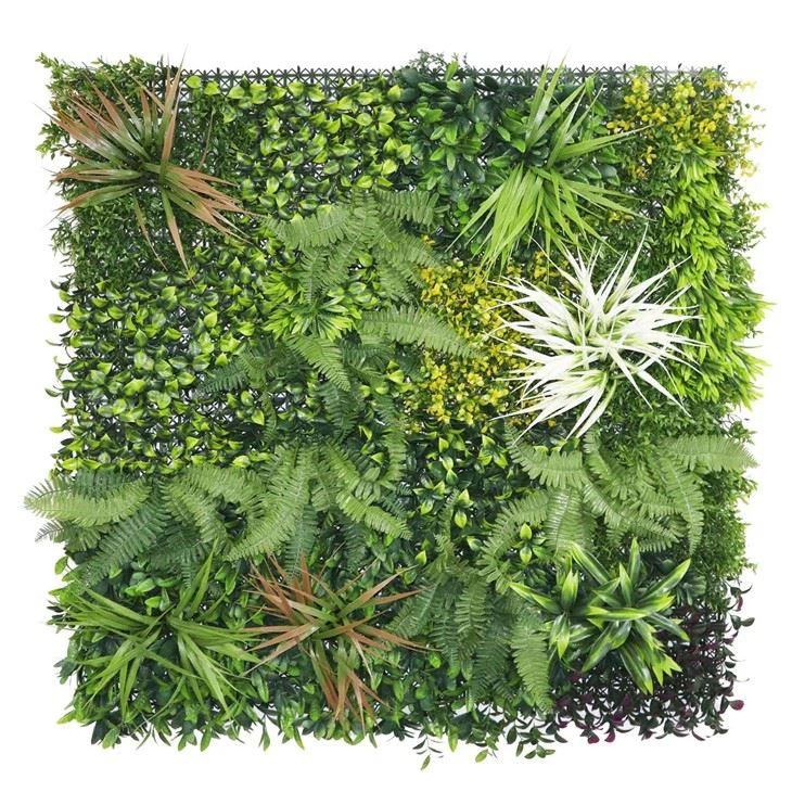 Diy Indoor Moss Wall