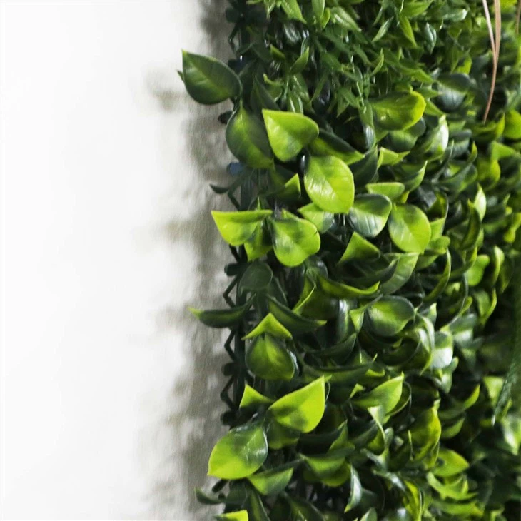 Diy Indoor Moss Wall