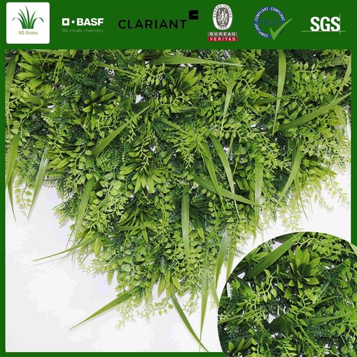 Dinding Rumput di Ruang Makan