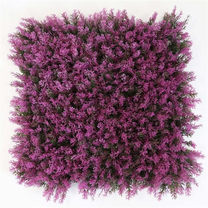 Indoor Flower Wall