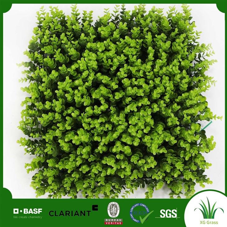 Dinding Rumput Untuk Bilik