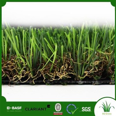 Landskap Rumput Palsu