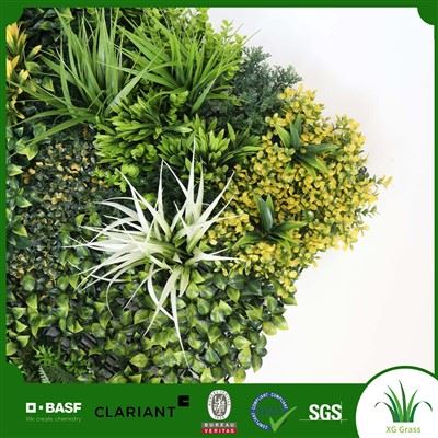 Dinding Herba Dalaman