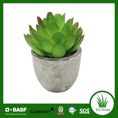 Penanam Sukulen Tiruan Premium XG