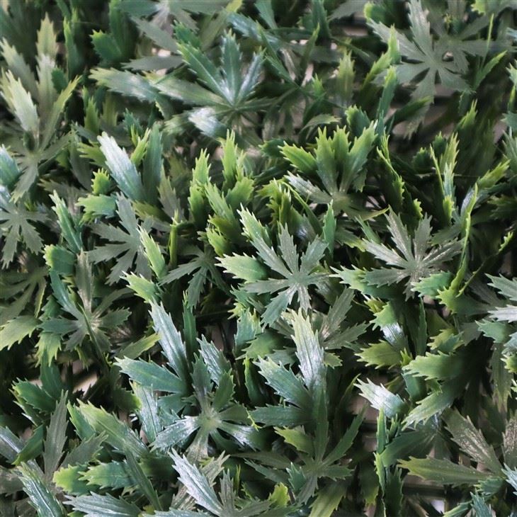 Room Grass Wall