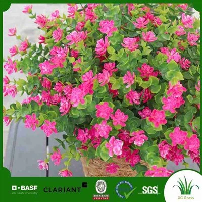 Poinsettia palsu