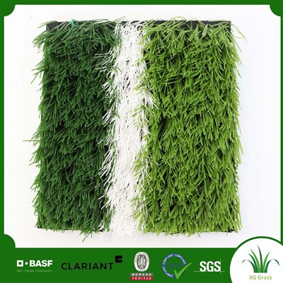 Rumput Rumput Bola Sepak