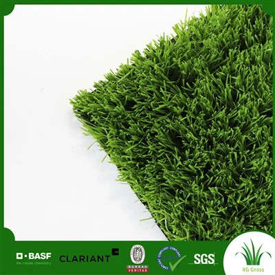 Rumput Bola Sepak Untuk Kanak-kanak