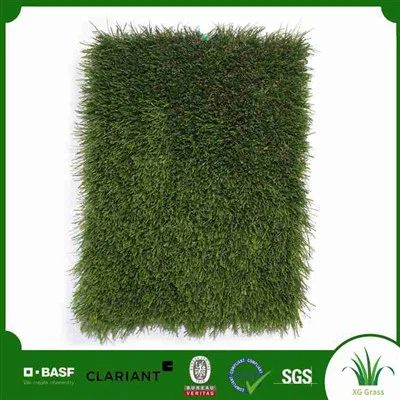 Halaman Depan Dengan Rumput Tiruan