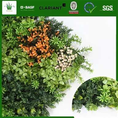 Dinding Tumbuhan Dalaman