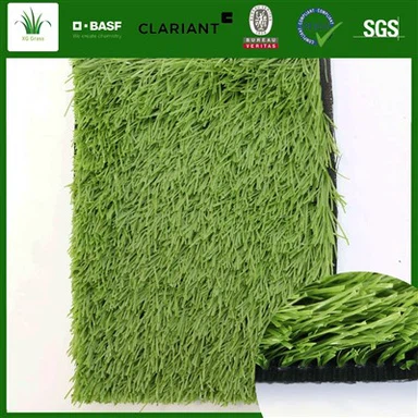 Rumput Permaidani Bola Sepak