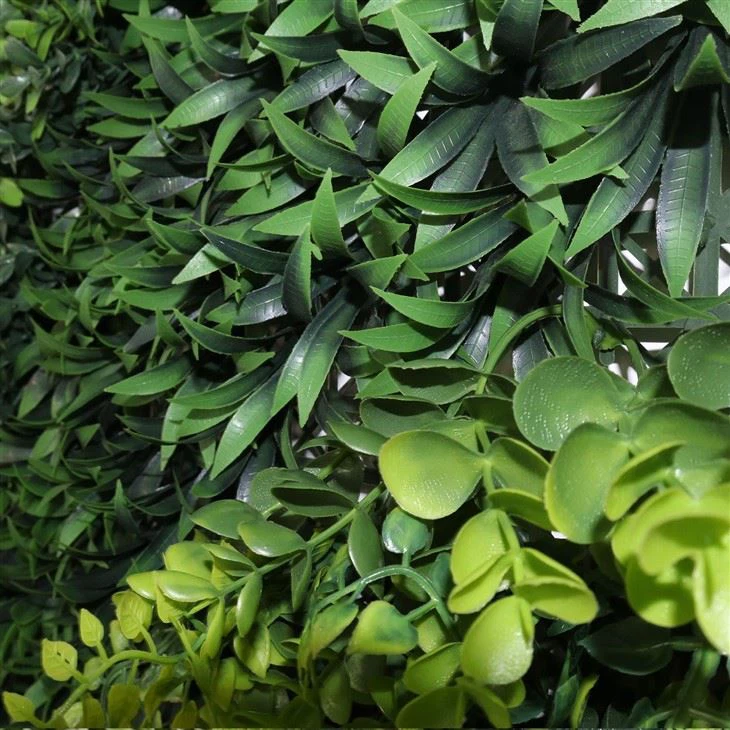 Wall Planters Indoor